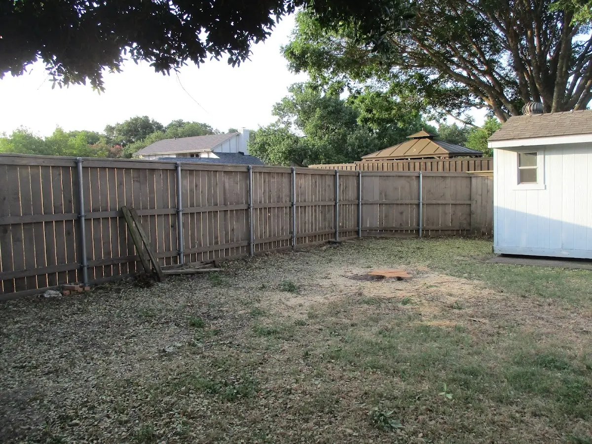 Cleared yard after professional tree removal in El Sobrante
